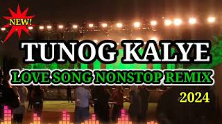 Tunog Kalye Love Song Nonstop Remix 2024 [upl. by Cheria]