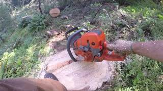 Ported 572xp Husqvarna chainsaw feedback [upl. by Denton647]