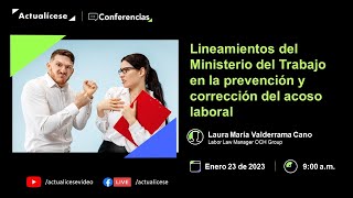 Acoso laboral lineamientos del Ministerio del Trabajo para su prevención y corrección [upl. by Trueblood]