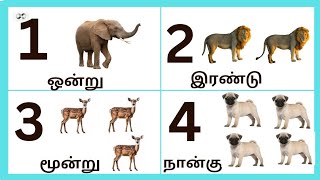 எண்கள்110123 TamilTamil number with pictureஒன்று  பத்து [upl. by Aneed]