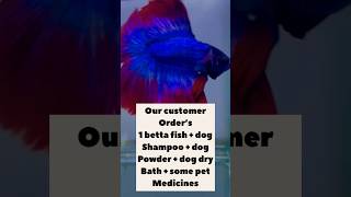 Shipping dog shampoo  dog powder  betta fish to guwahati ✨ dogshampoo bettafish ytshorts fish [upl. by Verdie]