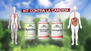 ¿Qué es la Candida Albicans Síntomas y tratamiento natural  Mundo Natural [upl. by Carleen]