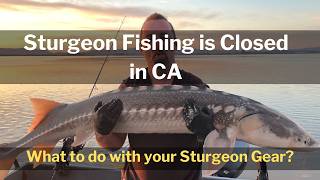 Sturgeon Fishing is Closed in CA  What to do with your Gear [upl. by Ursel449]