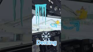 How Pilots Deice their Boeing737 at Almaty • Cockpit View 2024 [upl. by Alanah]