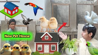 Aaj HumneOr Mistri 👌🛠️ chacha 😝Na New Pet 🦜🐣🐔🐇🥰ke House 🏠Banna Diye🥰 [upl. by Tressa]