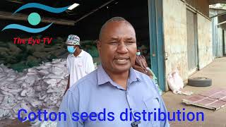 Makueni ginnery has started distributing cotton seeds to farmers the seeds are given for free [upl. by Niassuh206]