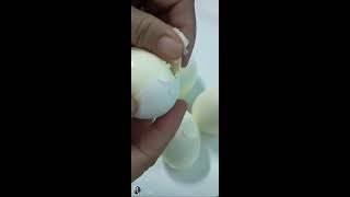 🥚 removing the eggshell and slicing egg 🥚 [upl. by Steinway]