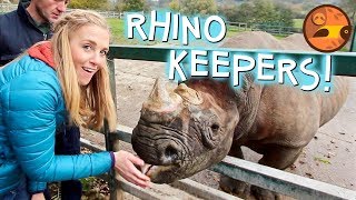 Rhino Keepers for a Day  Maddie Moate [upl. by Negam]