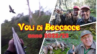 Voli di Beccacce 202223QUANTE EMOZIONI Caccia alla Beccaccia  Caza de Becada Huting Woodcock [upl. by Emlen]