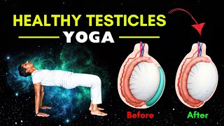 Yoga for Healthy Testicles  Add These Yoga Poses to Your Daily Routine [upl. by Lenzi]