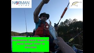 Review of Norman Deep Baby N and Deep Tiny N Crankbait on the water trolling test 10223 [upl. by Irrej]