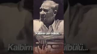 ATATÜRK fikrimin ince gülü [upl. by Erida]