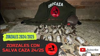 Zorzales con Salva Caza 20242025 [upl. by Nohtanoj239]