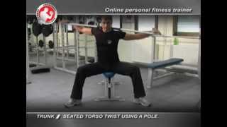 Trunk  Seated torso twist using a pole [upl. by Murrah]