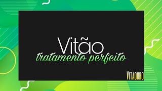 Vitão  Tratamento Perfeito 8D Áudio  vitaouro [upl. by Keegan]