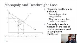 IO Ch6 Monopoly and Inefficiency [upl. by Epner]