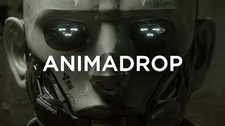 Animadrop  HumanID [upl. by Pell334]