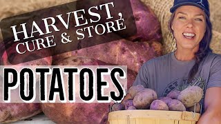 Storing Your Garden Potatoes for Winter  Harvest Cure amp Store for LongTerm Storage [upl. by Yessac]