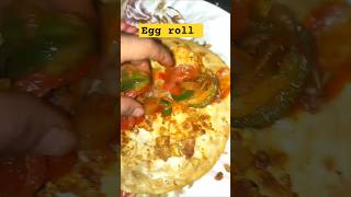 Egg paratha roll kise khana hai [upl. by Otiv]