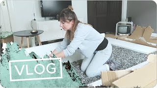 VLOG 60  Von Haaren Möbeln und Laura als Werbung [upl. by Frodina134]