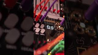 Forge Rythm with every beat modulove eurorack [upl. by Kessia736]