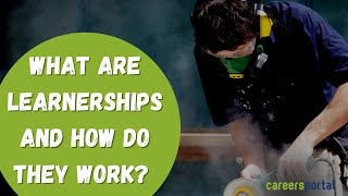 What Are Learnerships And How Do They Work  Careers Portal [upl. by Lisle]