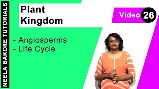 Plant Kingdom  NEET  Angiosperms  Life Cycle  Neela Bakore Tutorials [upl. by Yllak]