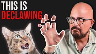 The Truth About Declawing Cats [upl. by Eatnoled113]