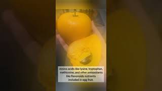 Facts On Egg Fruit  Canistel Fruit shorts facts amplifyhopes eggfruit canistel fruits [upl. by Norel]