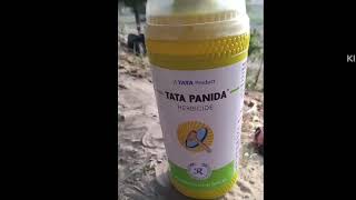 खरपतवार उगने से पहले ही रोके  tata panida  pendimethalin 30 ec use in hindi tata her budhwar K [upl. by Ellary]