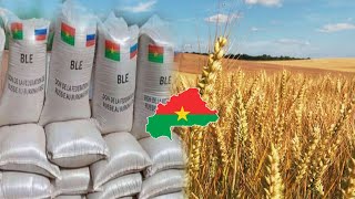 Suspension de l importation de la farine de blé au Burkina les contours de cette décision [upl. by Enidlarej525]