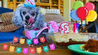 A Doggy Birthday Party [upl. by Ocihc]