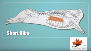 Know your Beef cuts Short Ribs [upl. by Aggappe691]