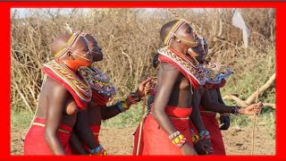 Samburu cultural dance song 💃💃 [upl. by Neellok]