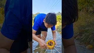 Survival skills in the forest Simple but useful with pumpkin shorts short bushcraft [upl. by Adiazteb]