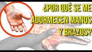 ¿Sientes Adormecimiento De Manos Y Brazos Aprender A Ver Las 5 Señales Que Envía Tu Organismo [upl. by Efrem636]