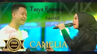 LIVE BANJIR SAWERAN  CAMELIA  TASYA ROSMALA  OM ADELLA  LIVE DI HJS PAMEKASAN MADURA [upl. by Genni749]