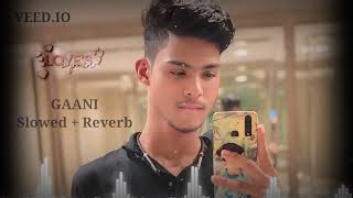 Gani song  slowed  reverb pirukhan 7 MusicTarangMusicOdisha RaniChahal tseries [upl. by Licko]