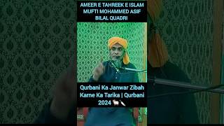 Qurbani Ka Janwar Zibah Karne Ka Tarika  Qurbani 2024 islmicvideo shortsyoutube [upl. by Nihhi]