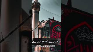 Please 🙏like and subscribe heidar e karrarNadeem sarwar nohamuharram1446 noha shorts [upl. by Sivel]