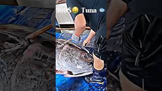 Master Sashimi Chef 🤯 Reveals 2024s Hottest Bluefin Tuna Trends [upl. by Akilam113]