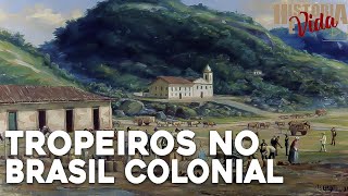 TROPEIROS NO BRASIL COLONIAL  Brasil Colônia  Aula de História para ENEMVestibulares e Concursos [upl. by Valina725]