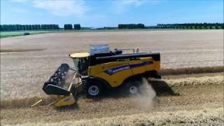 Wintergerst dorsen  Harvesting winter barley  Wintergerste ernte  New Holland  Graanoogst [upl. by Doane551]