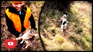 Quail and Rabbit Hunting with a German Shorthaired Pointer [upl. by Pownall]