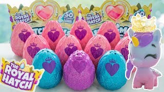 Hatchimals Colleggtibles The Royal Hatch Season 6 Multipack Limited Edition 4 Pack Hatching Opening [upl. by Razatlab]