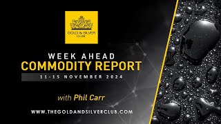 WEEK AHEAD COMMODITY REPORT Gold Silver amp Crude Oil Price Forecast 11  15 November 2024 [upl. by Eneryt]