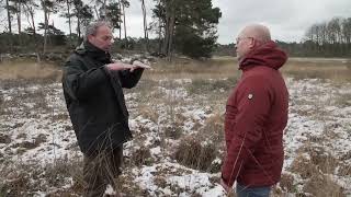 Welke soorten profiteren van venherstel  Natuur en Zo [upl. by Eislek]