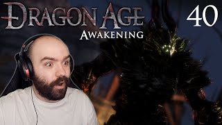 The Baroness of Blackmarsh amp Justice  Dragon Age Origins Awakening  Blind Playthrough Part 40 [upl. by Airotkiv]