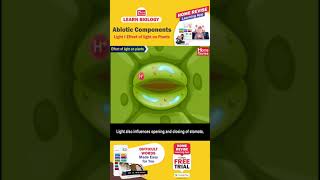 Abiotic Components  Learn Biology with Home Revise [upl. by Olin]