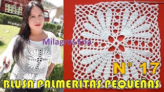 Blusa N° 17 tejida a crochet con cuadrados Palmeritas Pequeñas y mangas en punto Malla paso a paso [upl. by Baelbeer476]